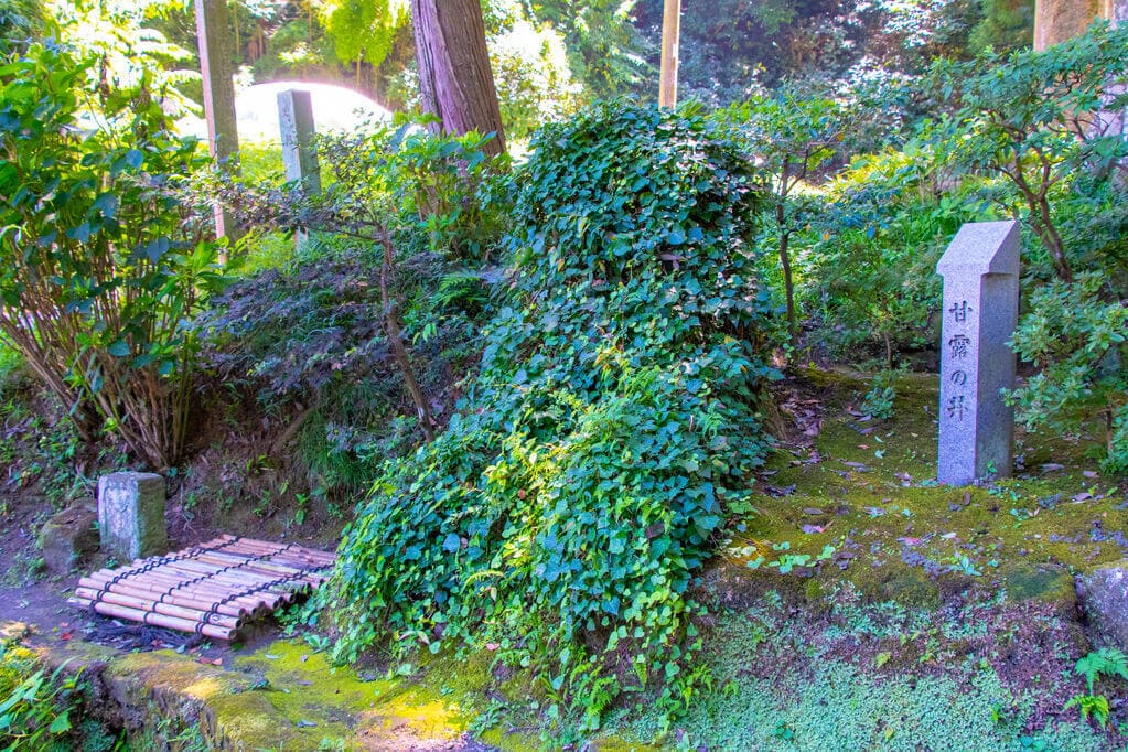 甘露の井